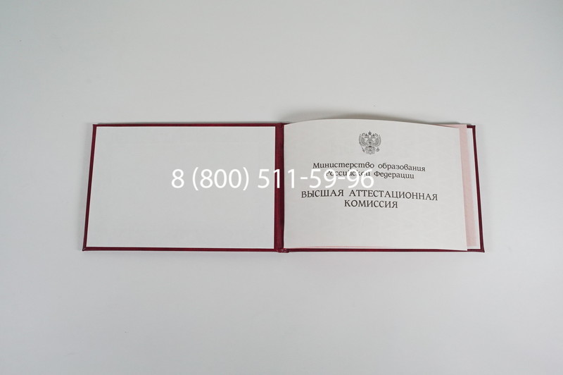 Диплом доктора наук 1995-2006 года в Королёве Диплом доктора наук 1995-2006 года в Королёве