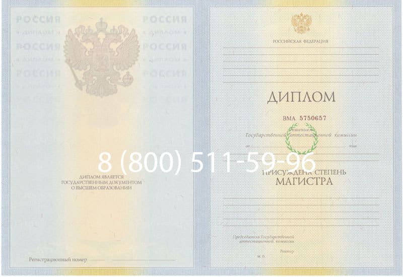 Купить Диплом магистра 2010-2011 годов в Королёве Купить Диплом магистра 2010-2011 годов в Королёве
