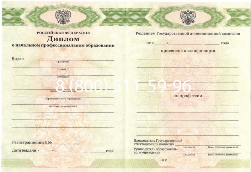 Купить Диплом о начальном образовании 2010-2024 годов в Королёве Купить Диплом о начальном образовании 2010-2024 годов в Королёве