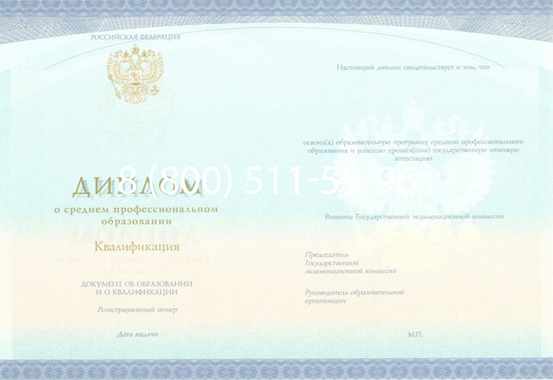 Купить Диплом колледжа (Спецбланк) 2014-2024 года в Королёве Купить Диплом колледжа (Спецбланк) 2014-2024 года в Королёве